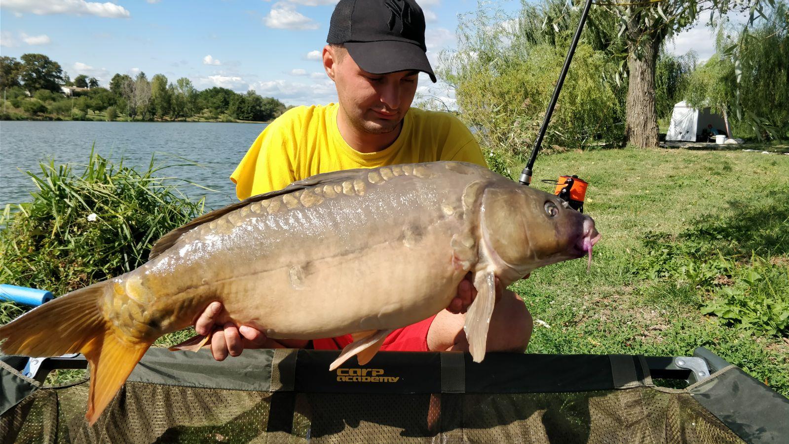 Hermes Peris - img-20170906-wa0032.jpg